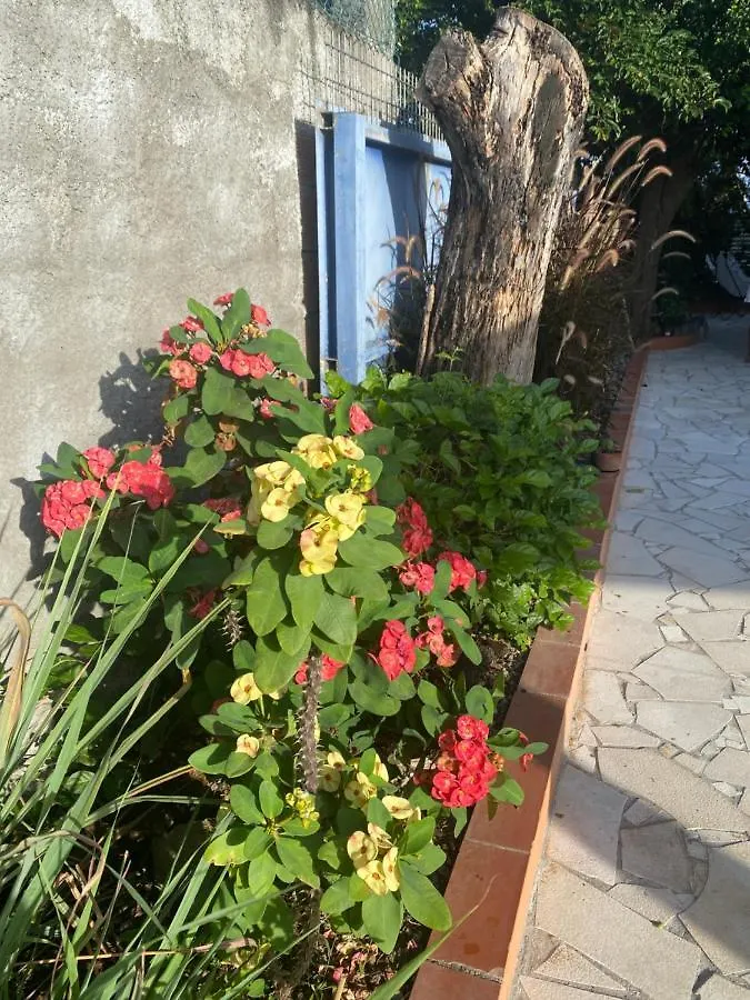 Au Pipiri Leve Appartement Schoelcher