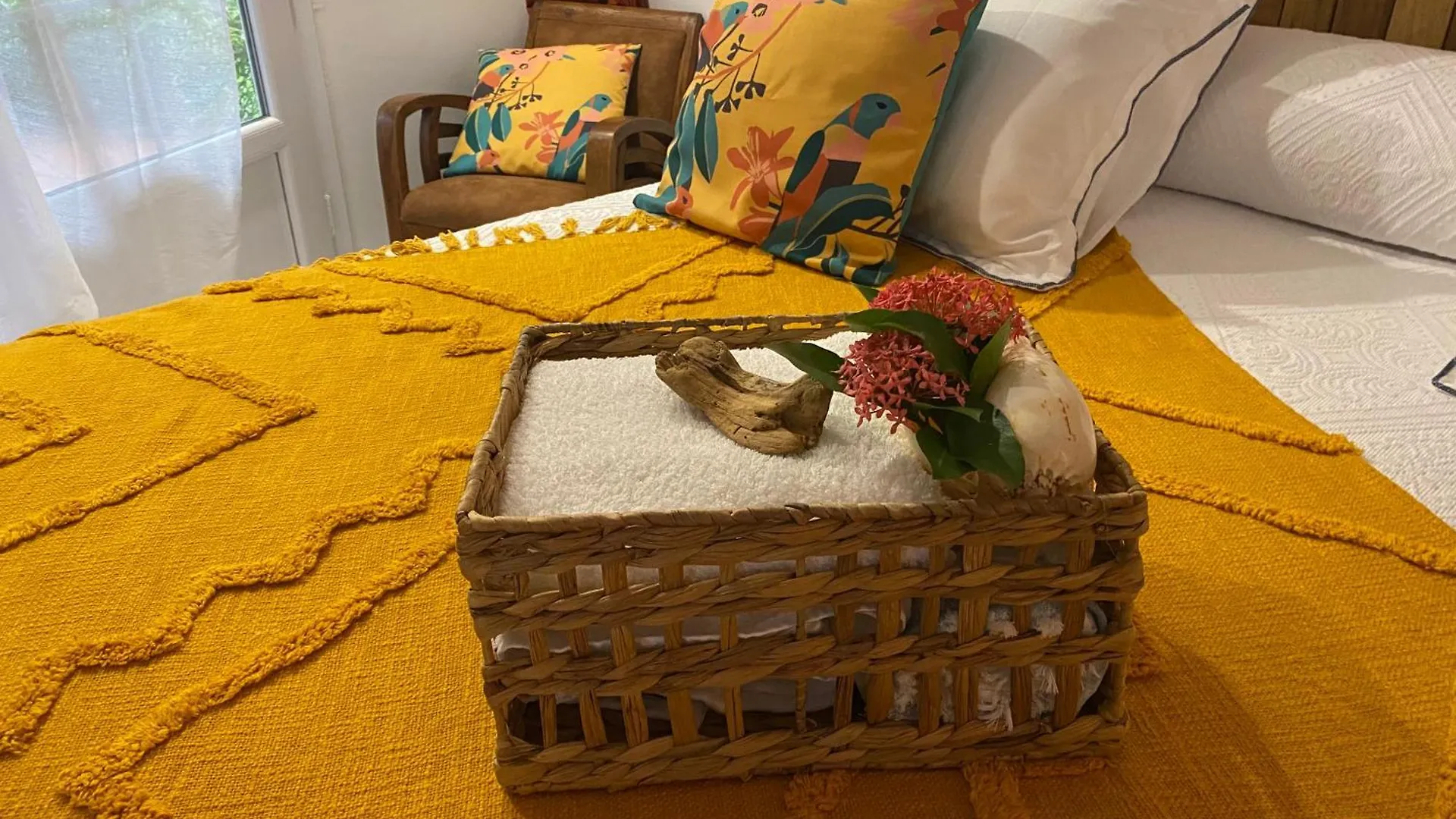 Au Pipiri Leve Appartement Schoelcher